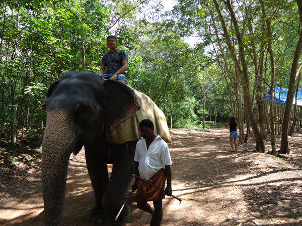 Михаил Кунгуров