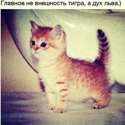 Гидаят Гурбанов