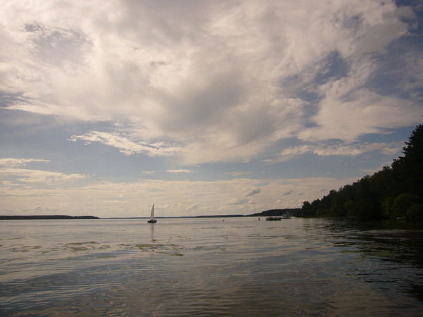 Жаннуля Петриченко