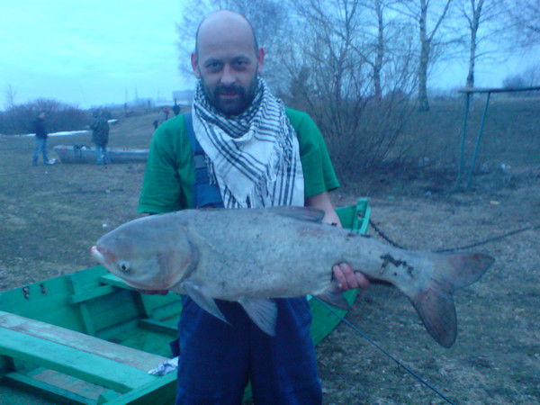 Алексей Шишаев