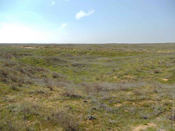 Саймаганбет Аяшов