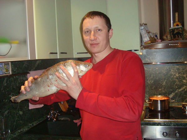 Александр Тимченко