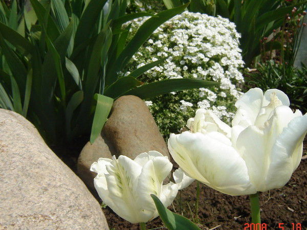 Луиза Атаханова