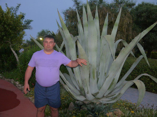 Алексей Ступаков