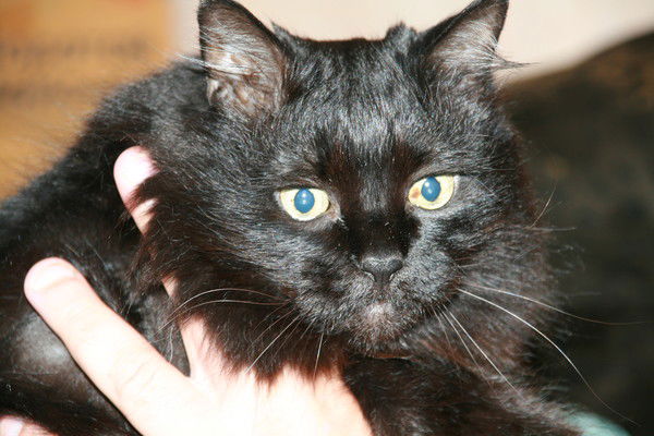 Юрий Самойленко