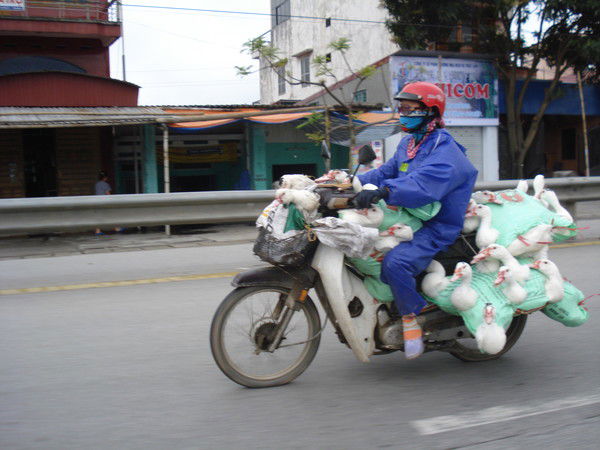 Валерий Прибытков