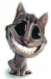 Максим Скурихин