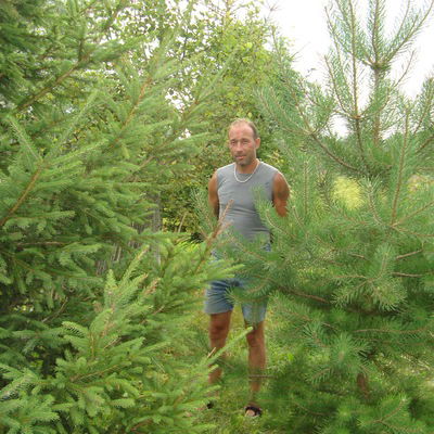 Александр Фролов