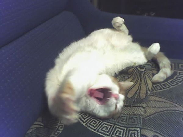 Неизвестно Неизвестно