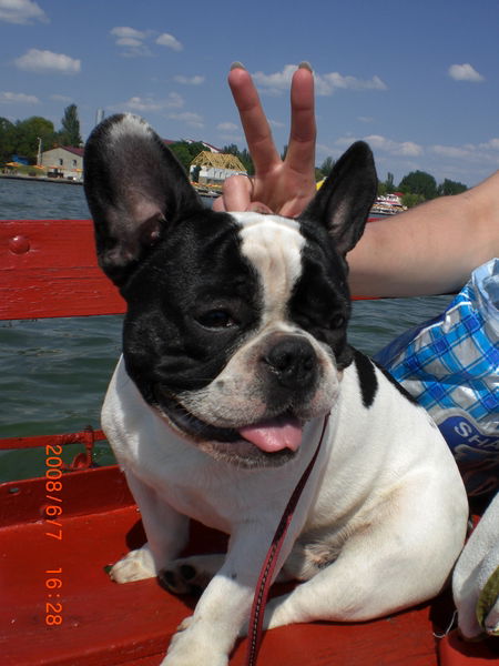 Инна Угнивенко