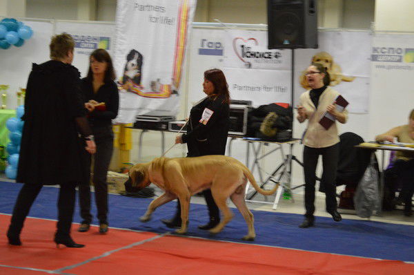 Екатерина Тимофеева