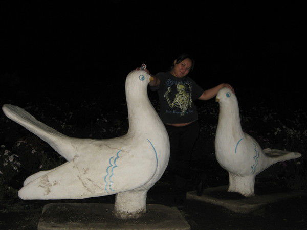 Айгуль Петовраджи