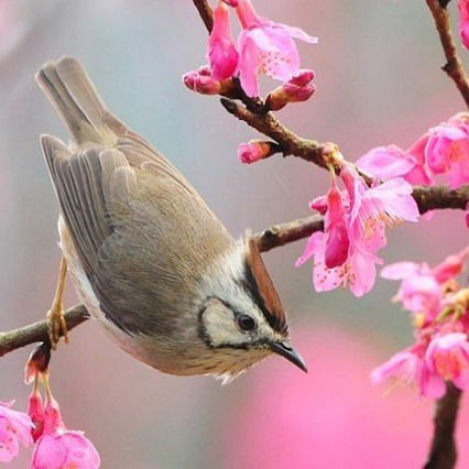 Натуся Лапочка
