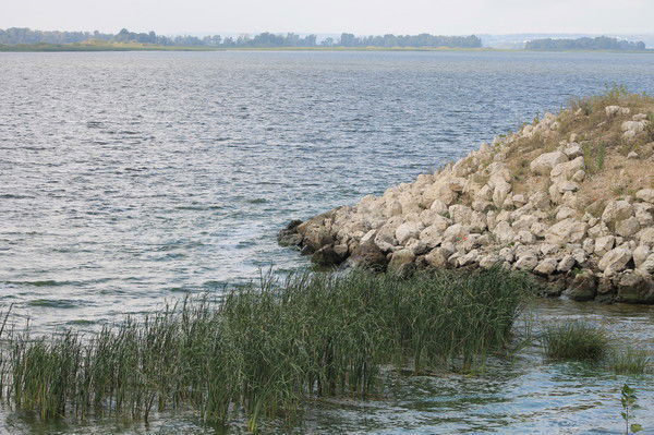 Ирина Корягина