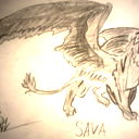 " Pro100 Sava"