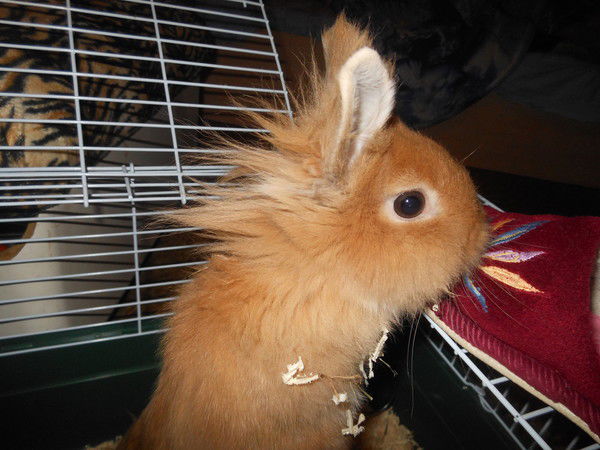 Оксана Митрофанова