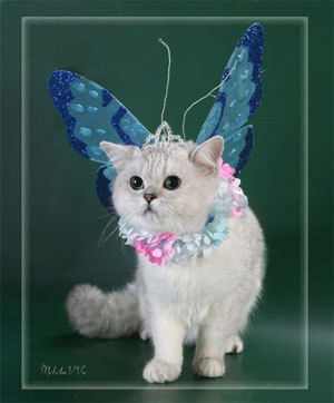 Надежда Юдина