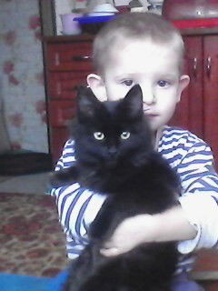 Константин Кукштель