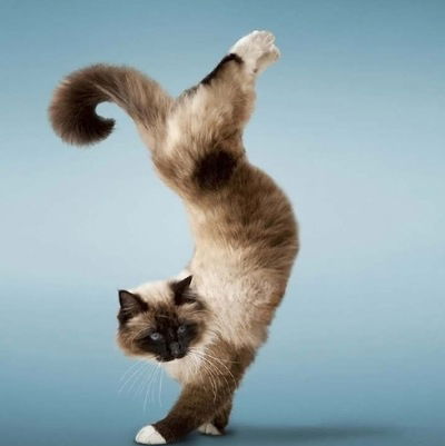 Женя Квашнин