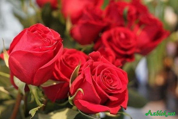 Бакыт Туреханова