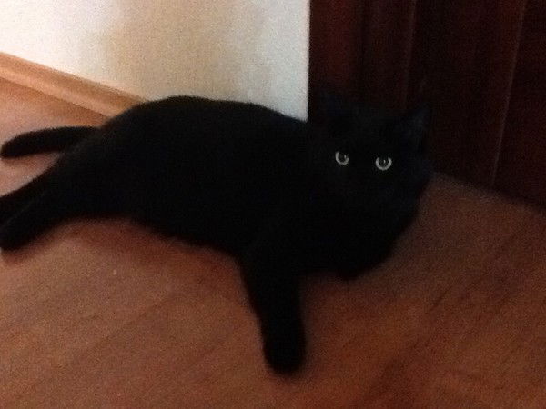 Игорь Кисляков