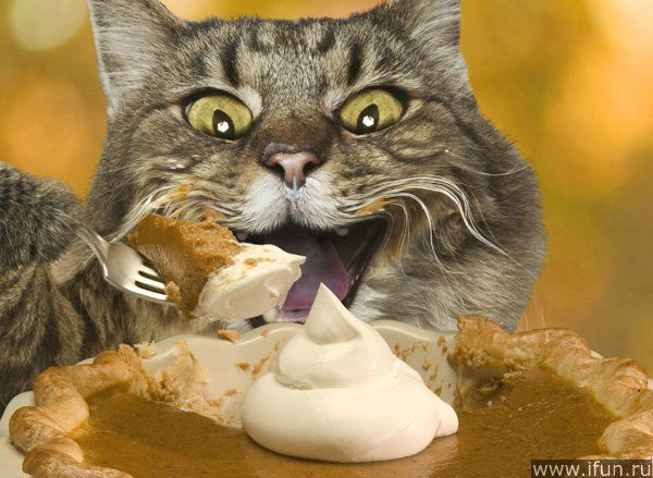 Владислав Самойленко