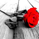 ___ Nurgul__ ^_^