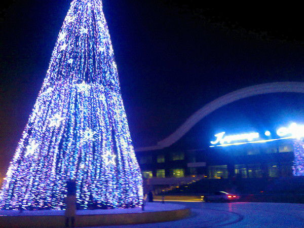 Алтынай Булгунаева