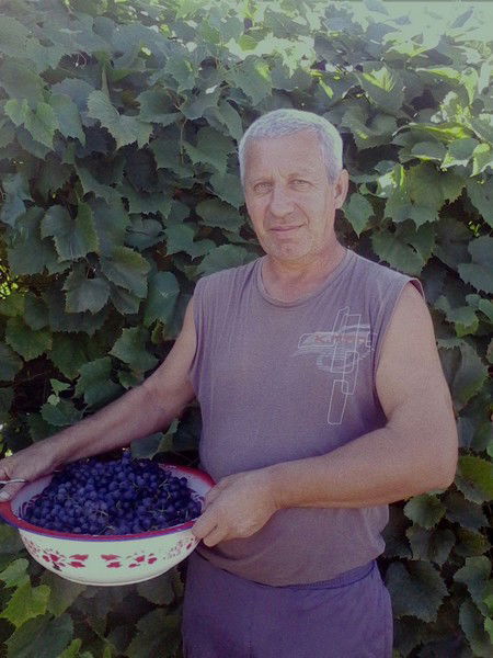 Александр Сергеев