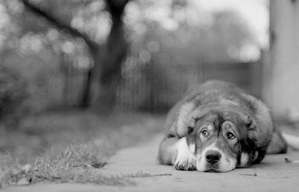 Александр .