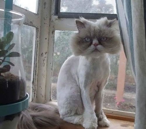 Иван Федоров