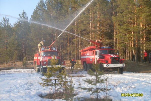 Лариса Дружинина