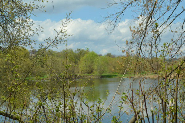 Николай Шевченко