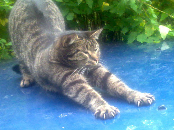 Анатолий Кирко