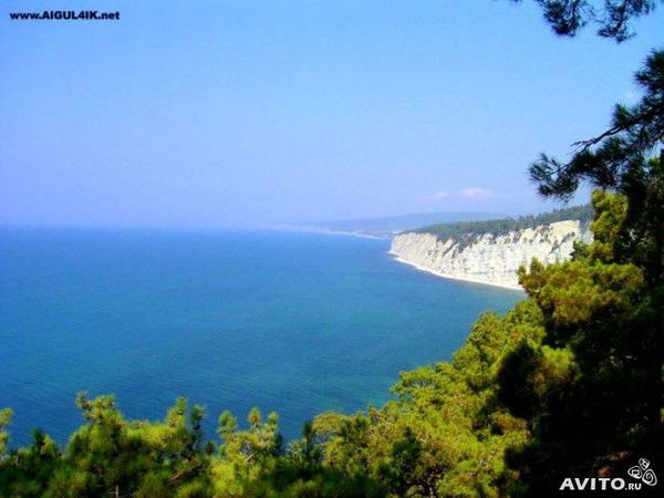 Алексей Анган