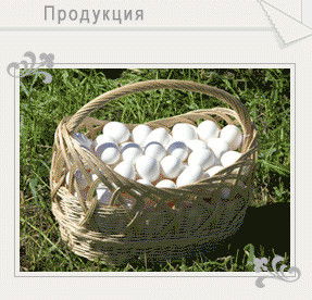 Отдел От,пб И Э