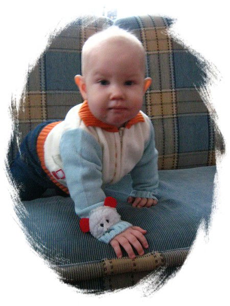 Анна Ипполитова