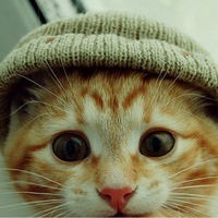 Кирилл Носальский