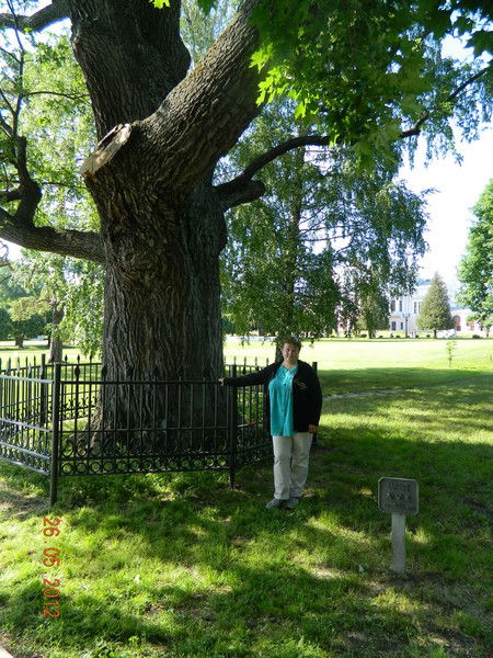 Марина Тимченко