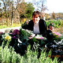 Елена Полищук