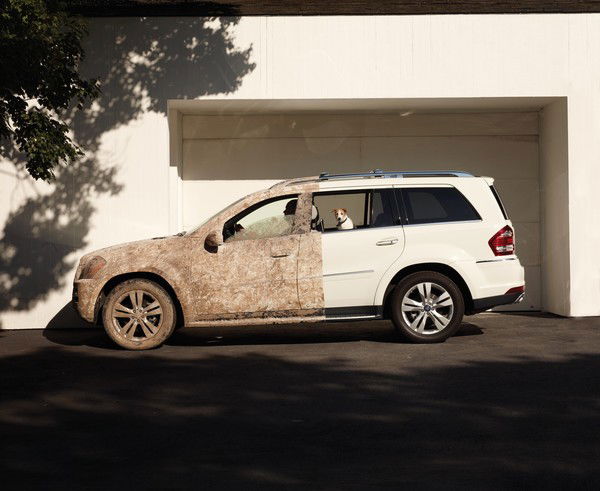 Антон Сапегин