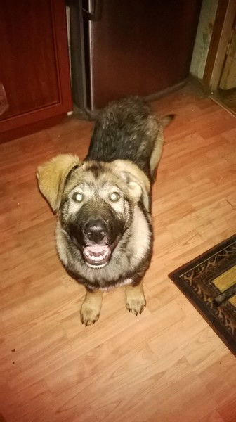 Екатерина Кошляк