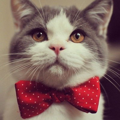 Александра Медведева