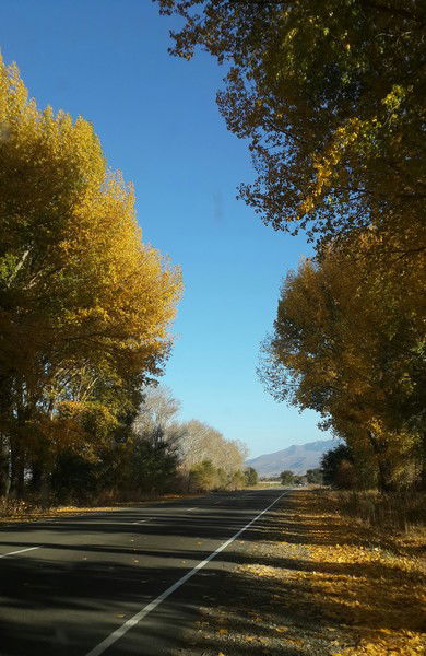 Азамат Жакупов