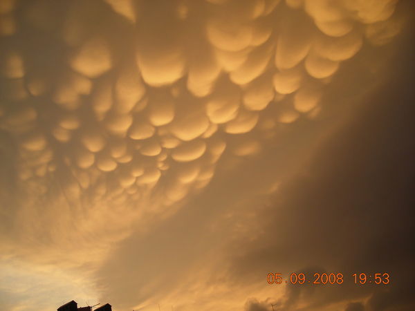 Анастасия Михайлова