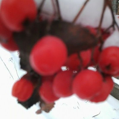 Любовь Константинова