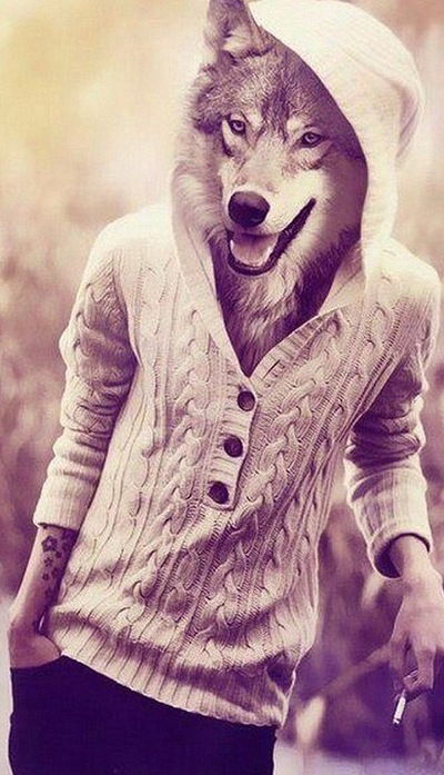 Андрей Пономарёв