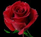 Махфуза Абдурахманова