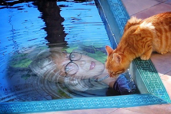 Ольга Евсеева