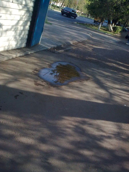 Анна Мостовова-Гнедова